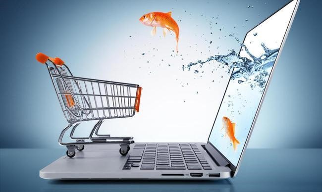 网络信息透明度对消费者信任的重要性 九游APP-网络信息透明度对消费者信任的重要性(图2)